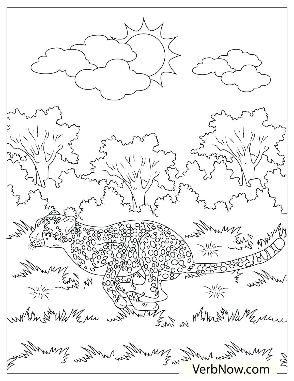 Free CHEETAH Coloring Pages For Download Printable PDF 