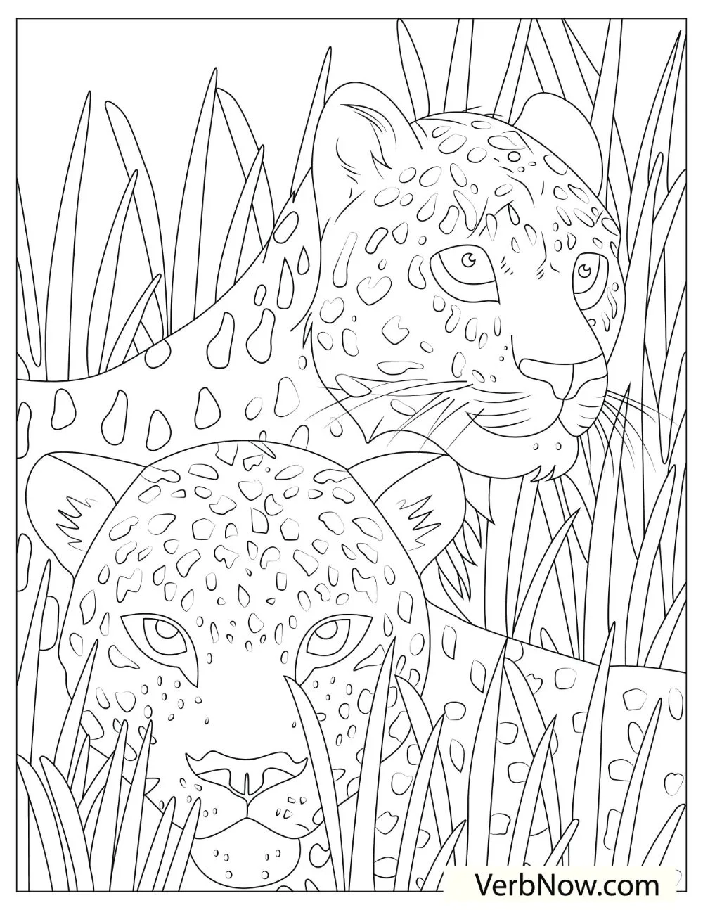 Free CHEETAH Coloring Pages For Download Printable PDF 
