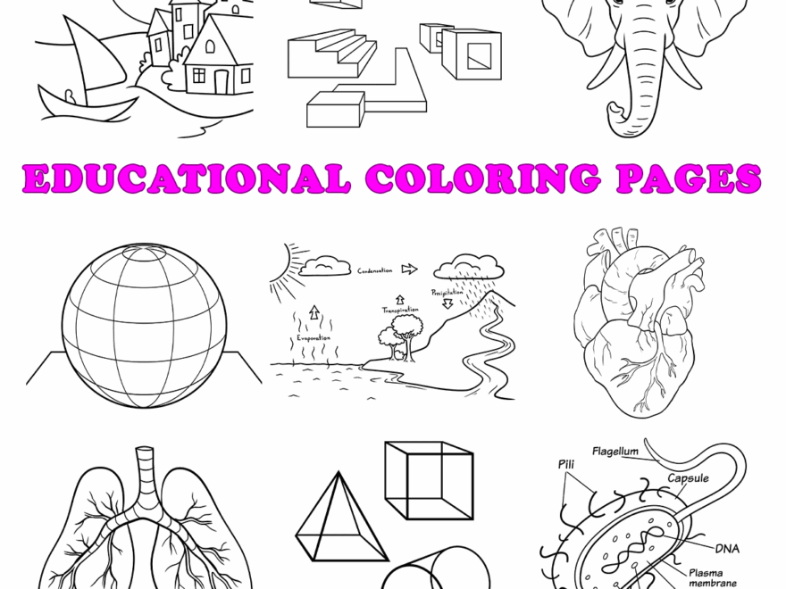 Free Educational Coloring Pages For Kids 38 Printable Sheets