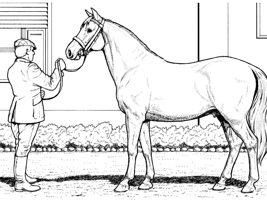 Free Horse Coloring Pages