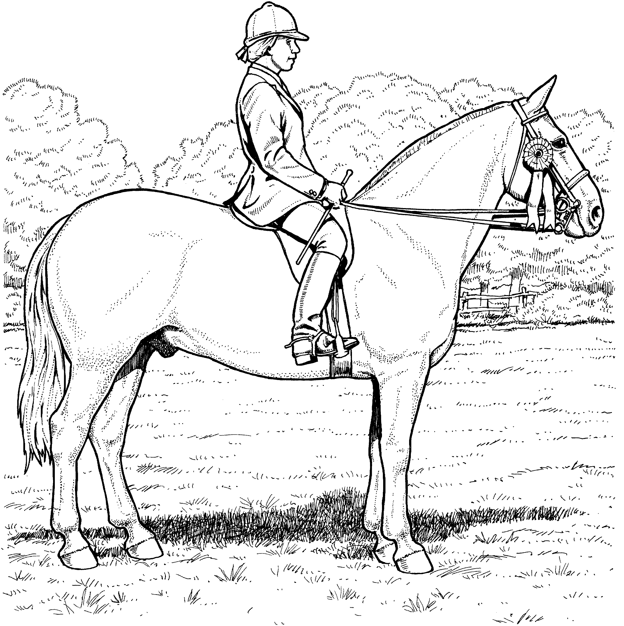 Free Horse Coloring Pages