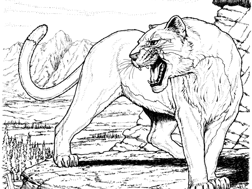 Free Panther Coloring Pages