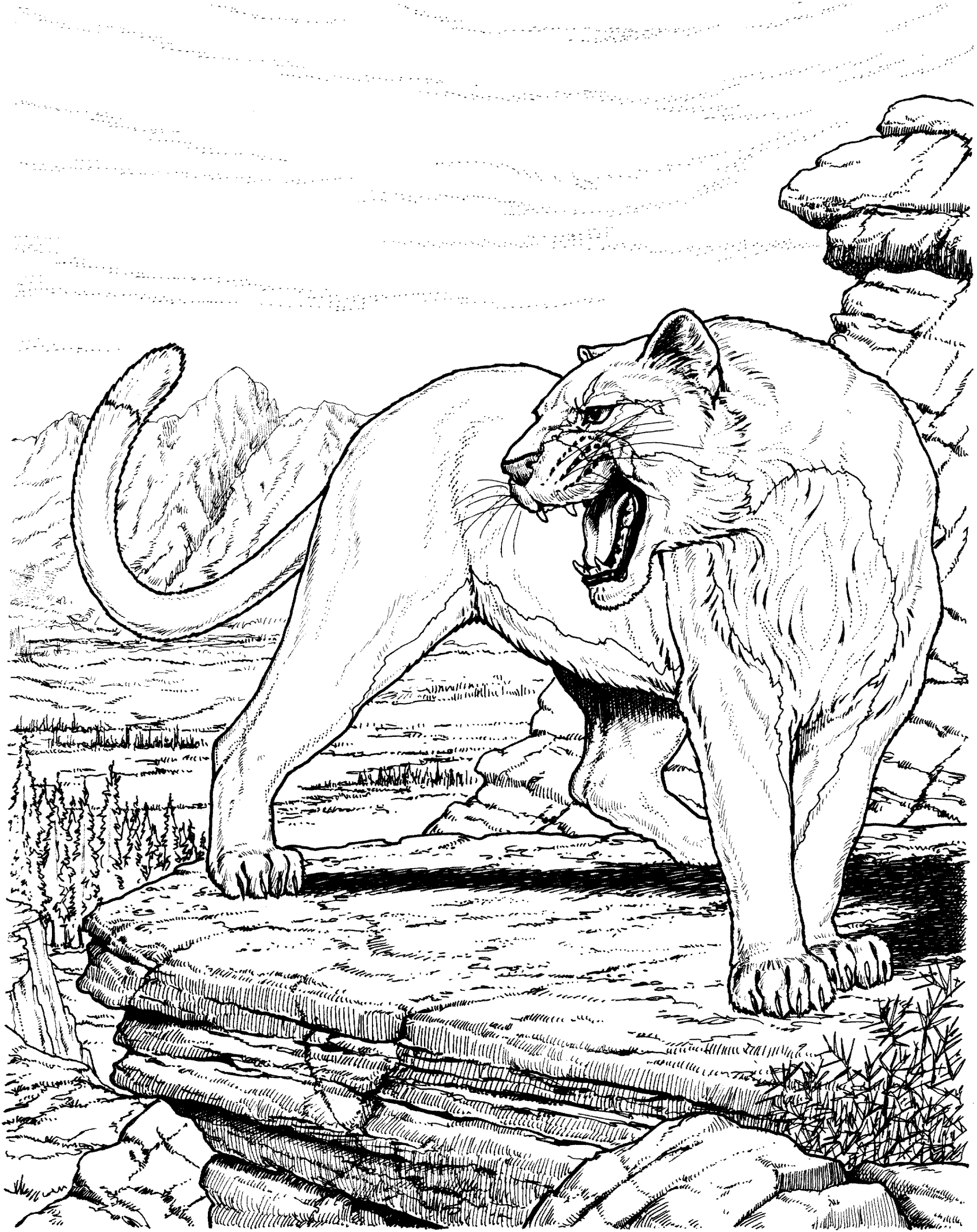 Free Panther Coloring Pages
