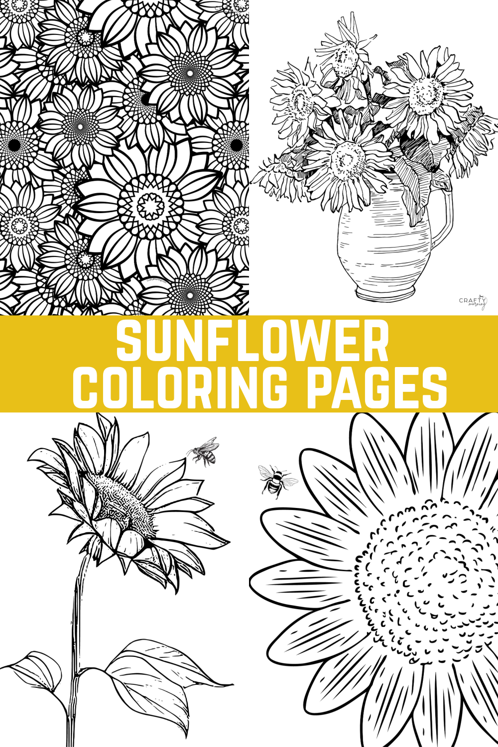 Free Printable Sunflower Coloring Pages Crafty Morning
