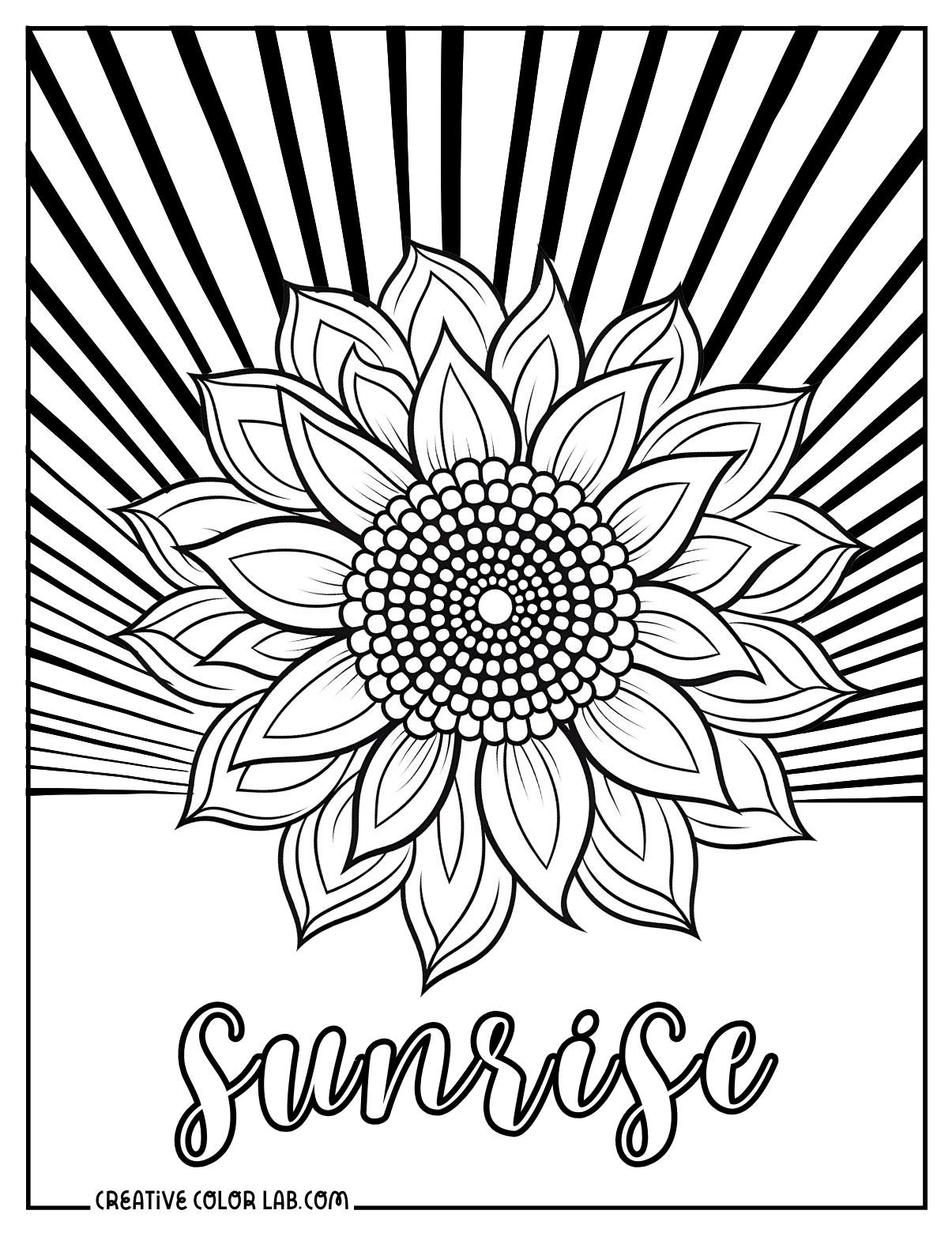 Free Printable Sunflower Coloring Pages PDF Downloads