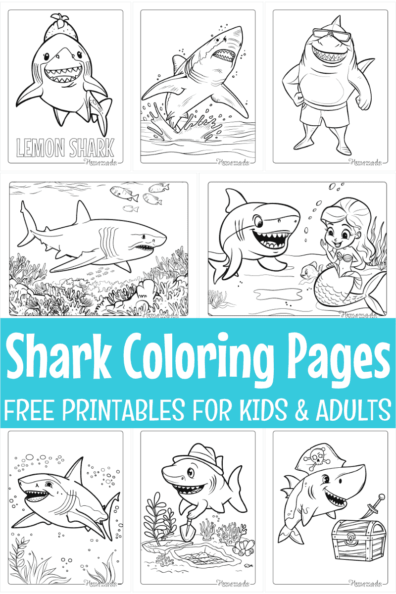Free Shark Coloring Pages For Kids Adults PDF Printables 