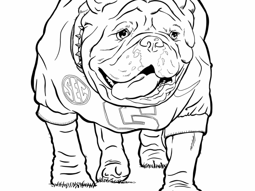 Georgia Bulldogs Coloring Pages University Of Georgia Athletics