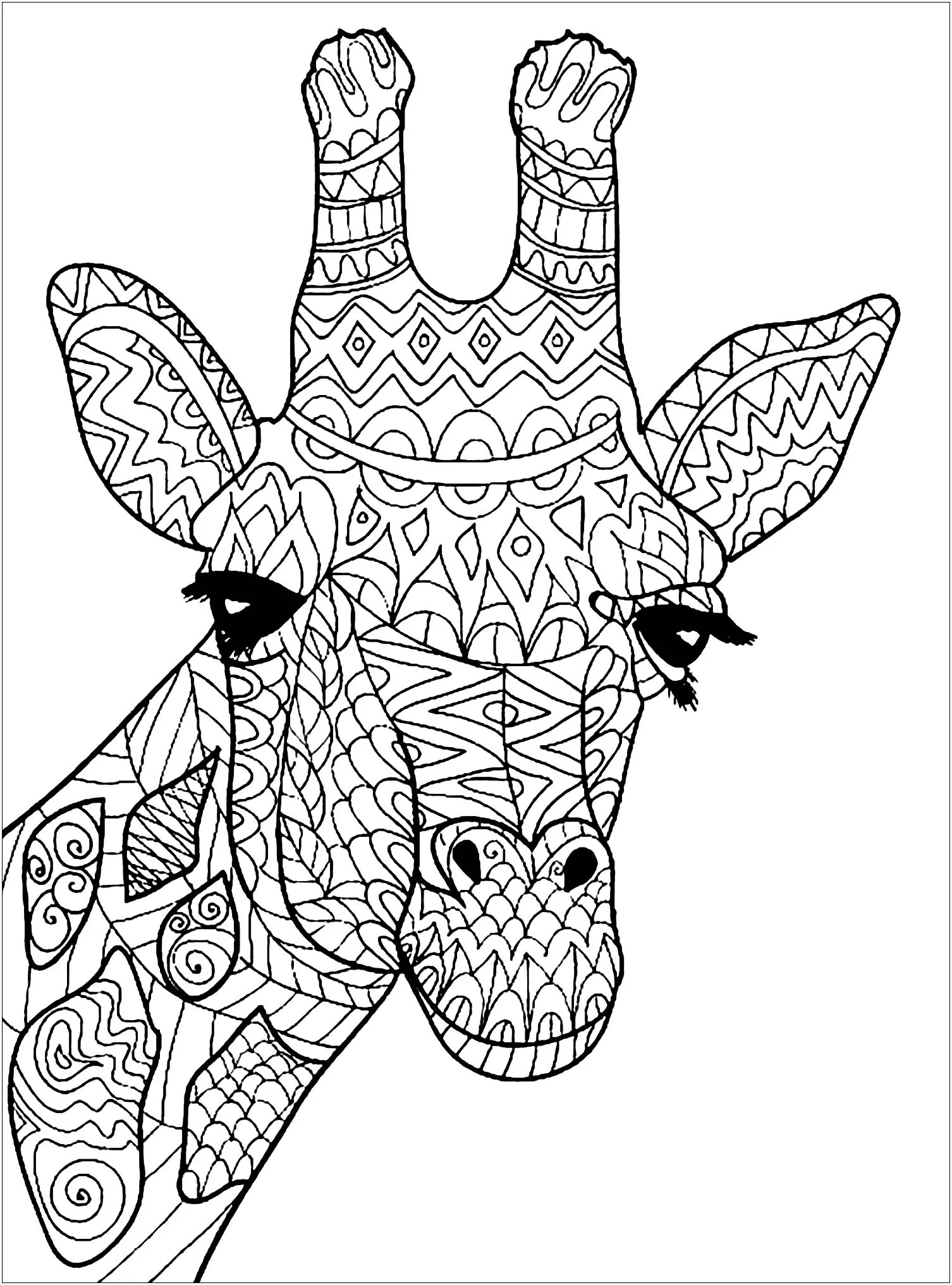 Giraffe Head Giraffes Coloring Pages For Adults