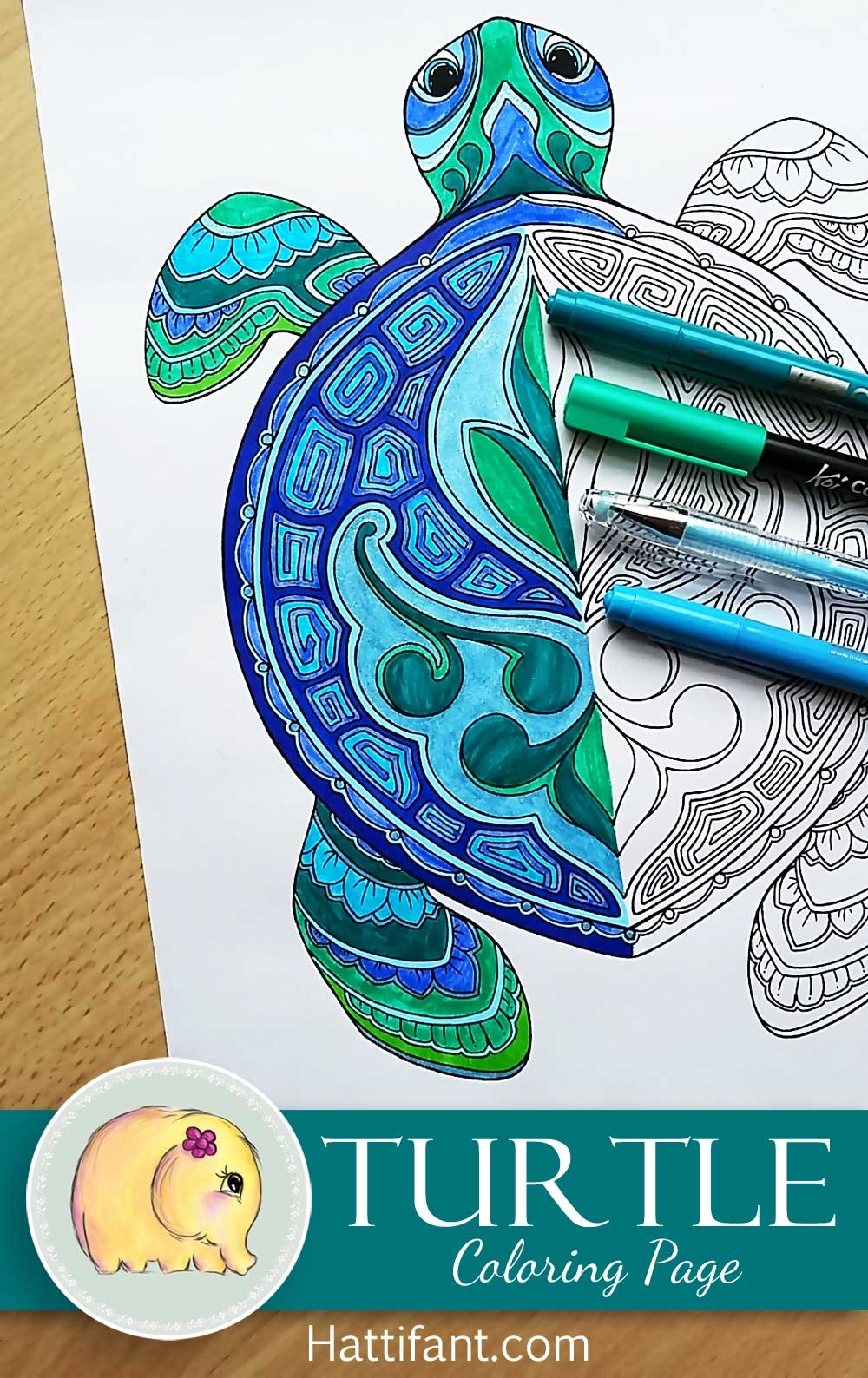 Simple Adult Coloring Pages Turtle