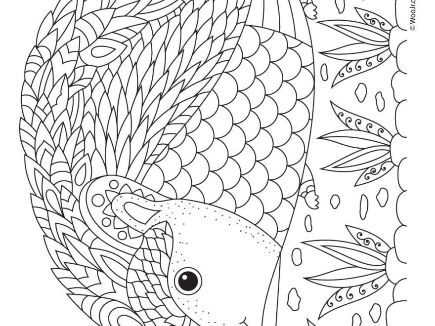 Hedgehog Adult Coloring Page Woo Jr Kids Activities Children s Publishing