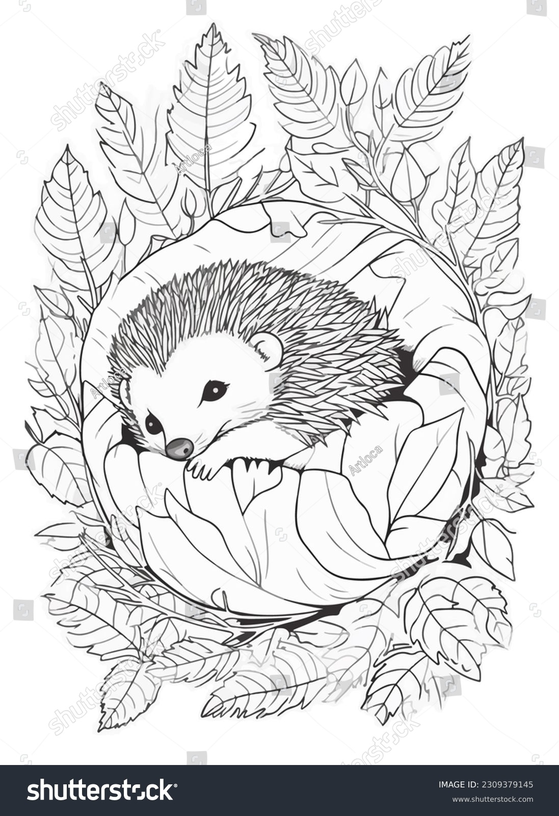 Hedgehog Illustration Coloring Book Black White Stock Illustration 2309379145 Shutterstock
