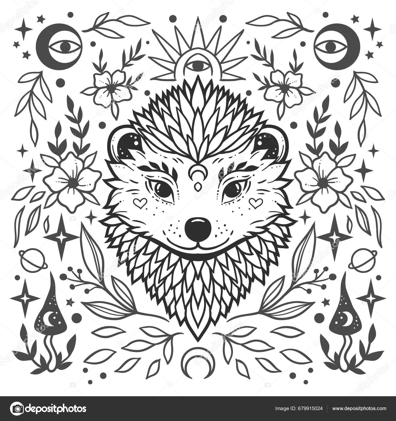 Hedgehog Mandala Animal Vector Illustration Adult Kids Coloring Book Page Stock Vector By anvino 679915024