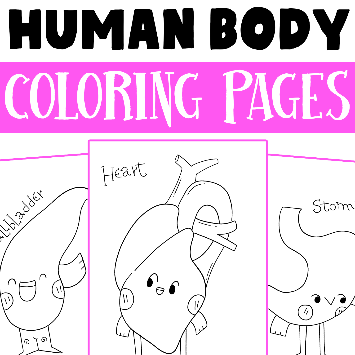 Human Body Systems Coloring Pages Human Anatomy Coloring Sheets For Kids Made By Teachers