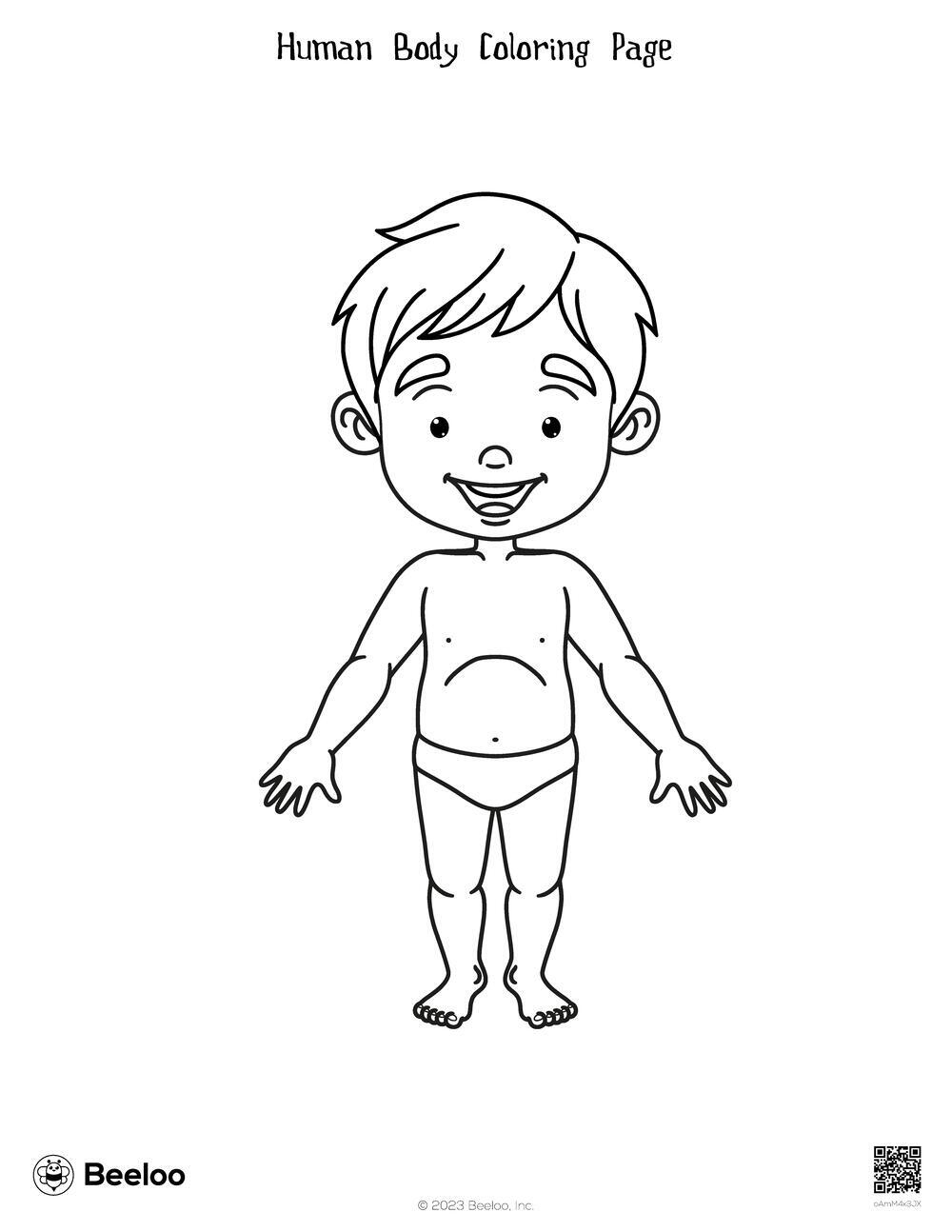 Human Body themed Coloring Pages Beeloo Printable Crafts And Activities For Kids