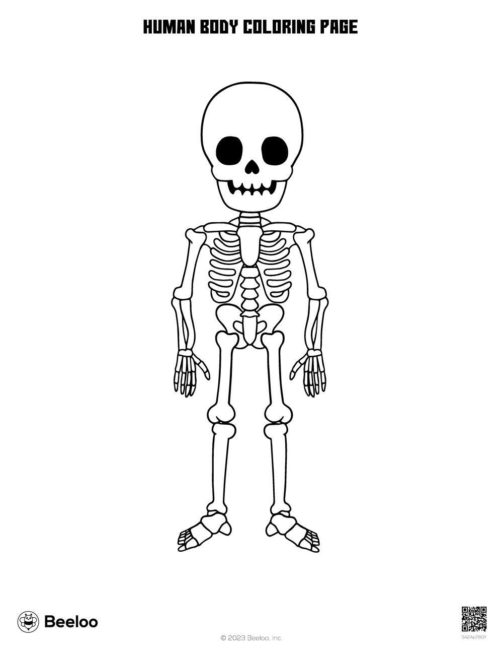 Human Body themed Coloring Pages Beeloo Printable Crafts And Activities For Kids