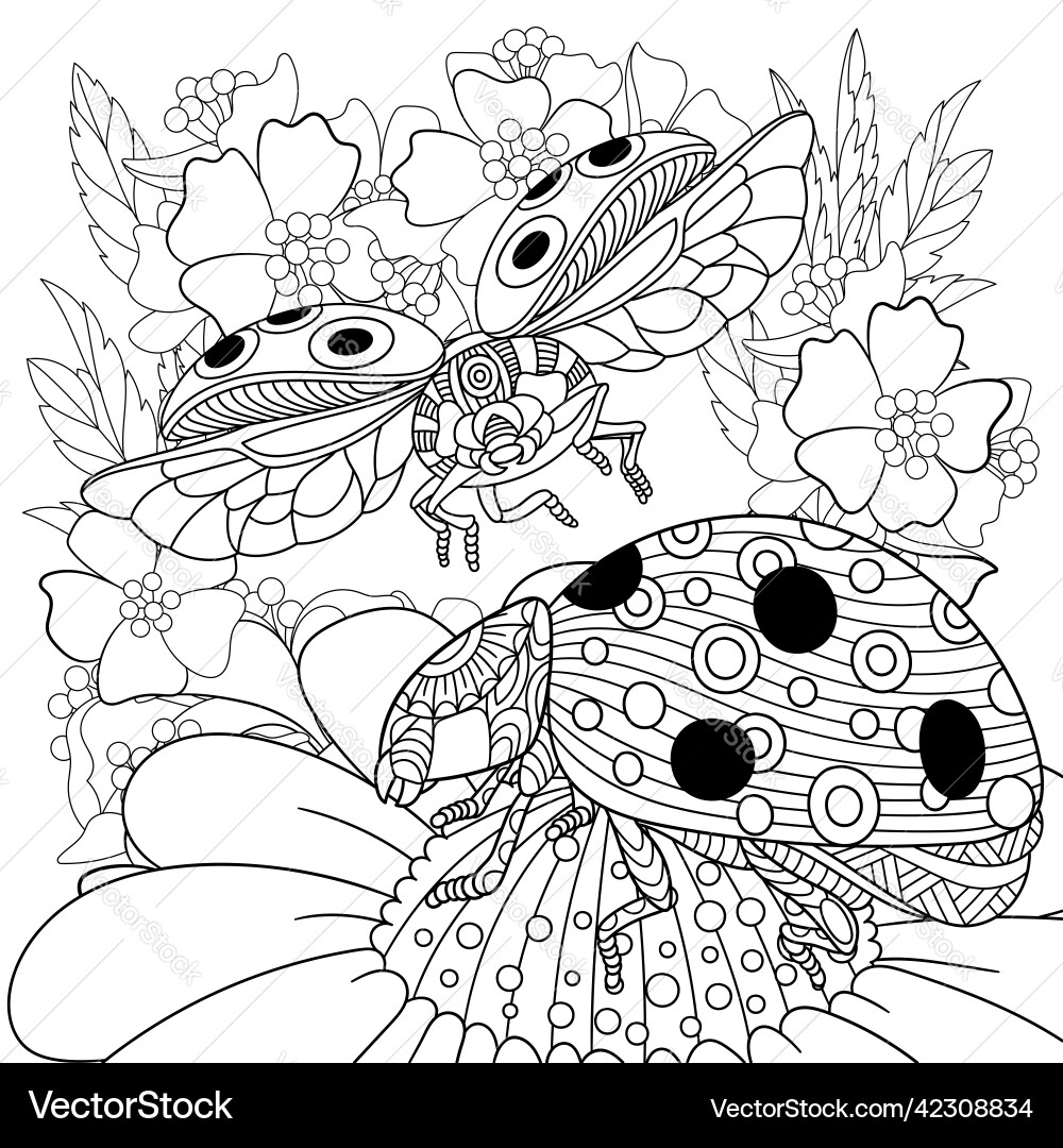 Ladybug Adult Coloring Pages Ladybug Adult Coloring Pages