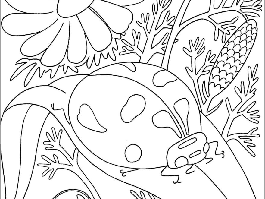 Ladybug On A Leave Butterflies Insects Coloring Pages For Adults