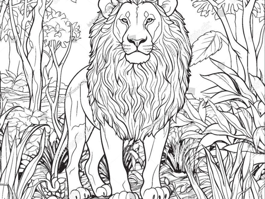 Lion Coloring Pages Kids Adults Stock Vector Royalty Free 2308981583 Shutterstock
