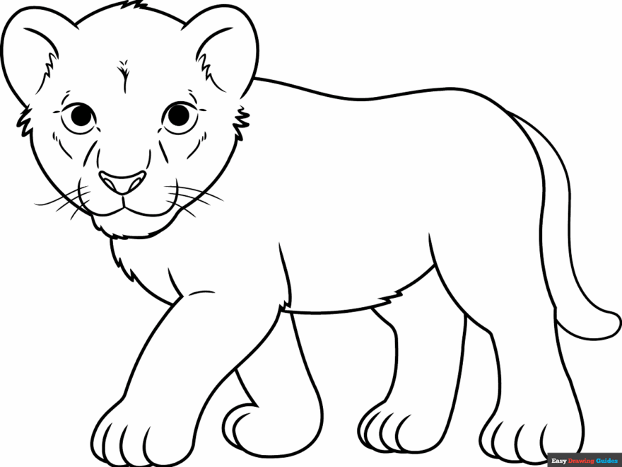 Lion Cub Coloring Page Easy Drawing Guides