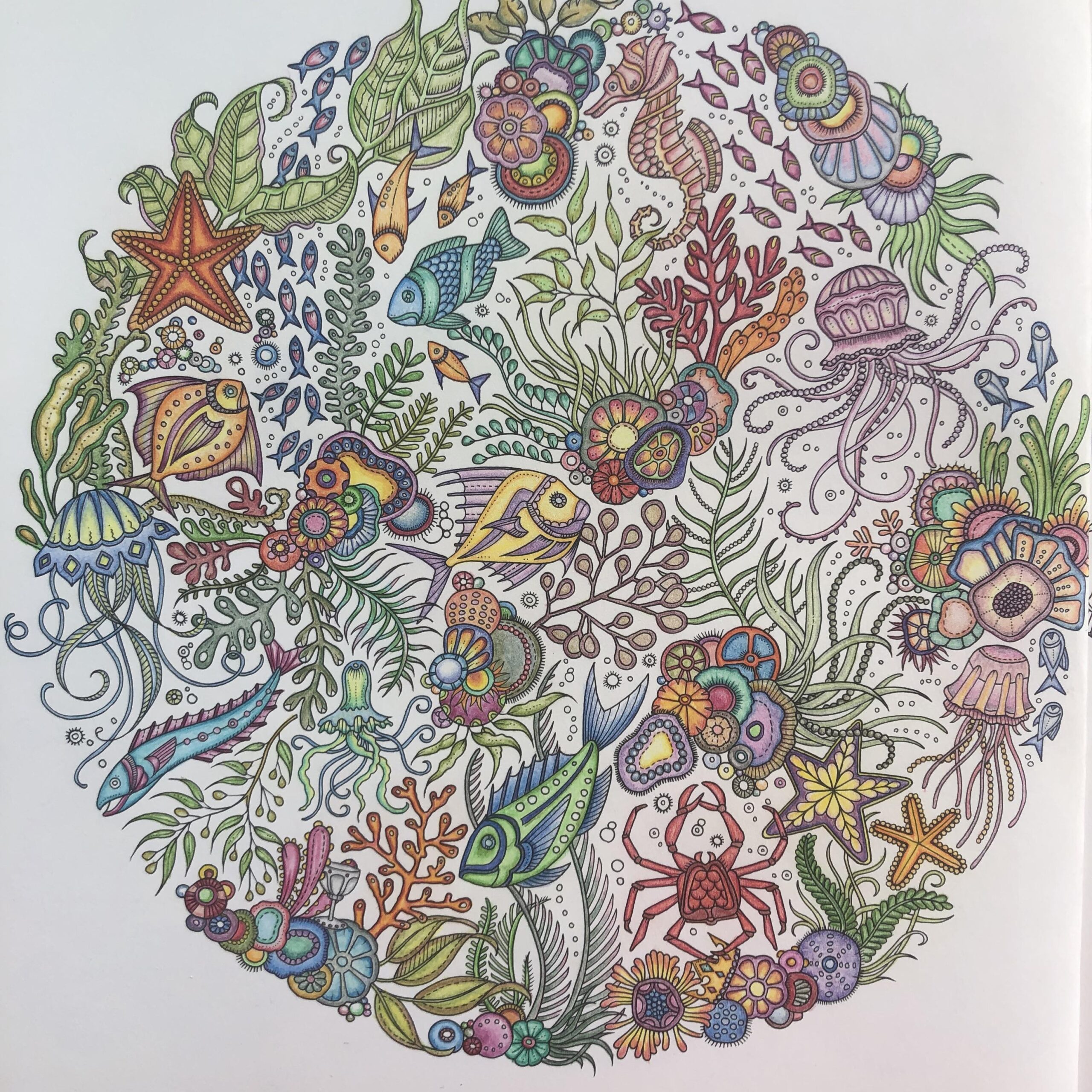 Lost Ocean By Johanna Basford Completed With Polychromos R Coloring