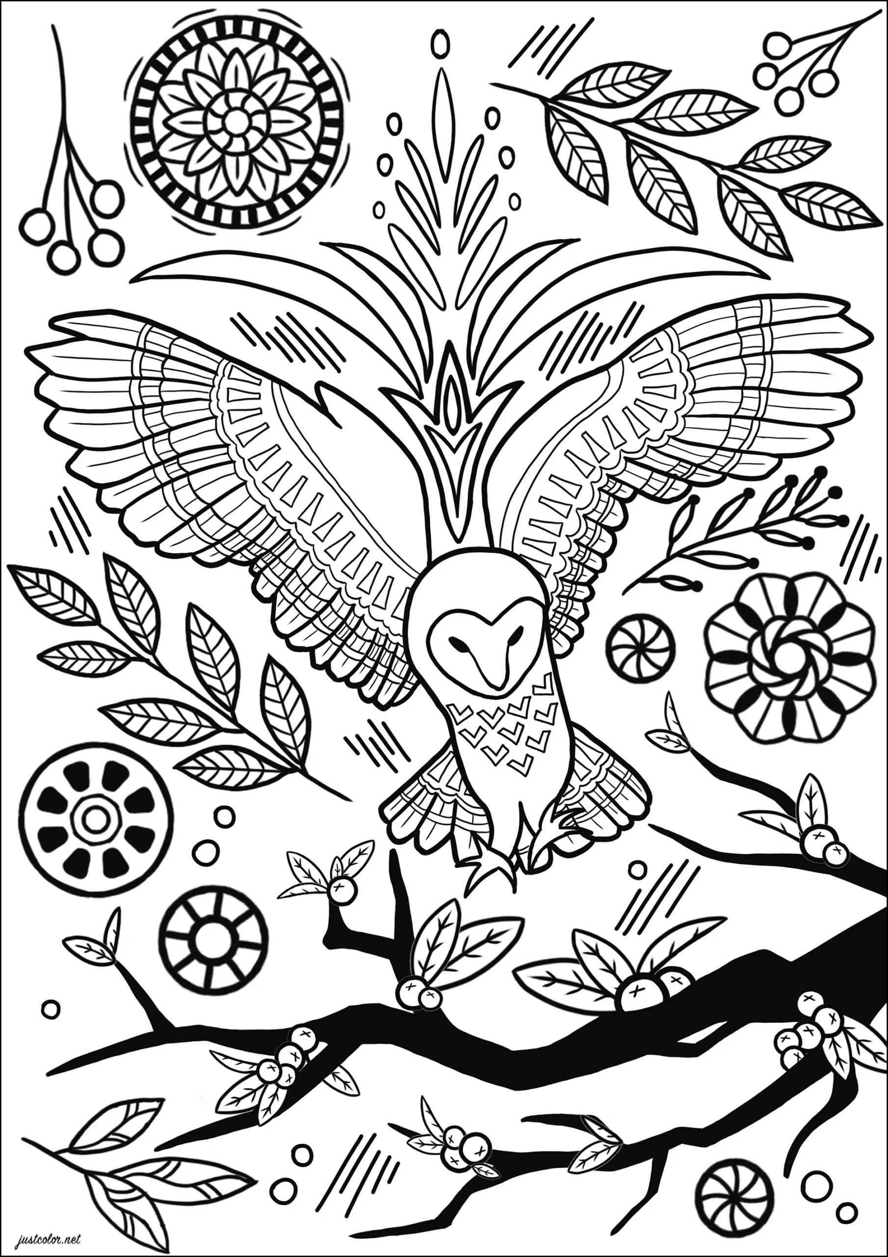 Owl In Flight With Flowers And Abstract Motifs Owl Coloring Pages For Adults