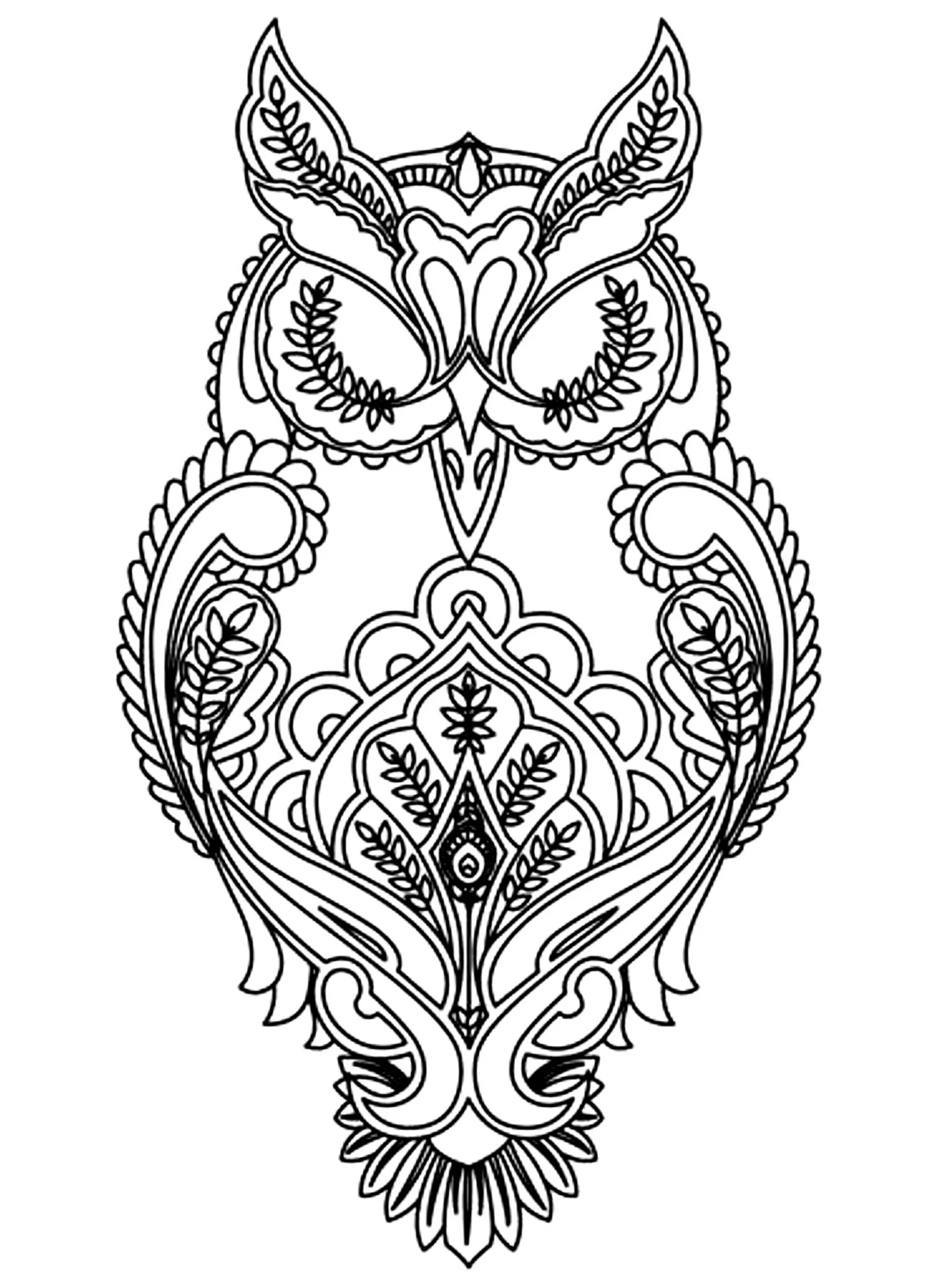 Owl Owl Coloring Pages For Adults Owl Owl Coloring Pages For Adults