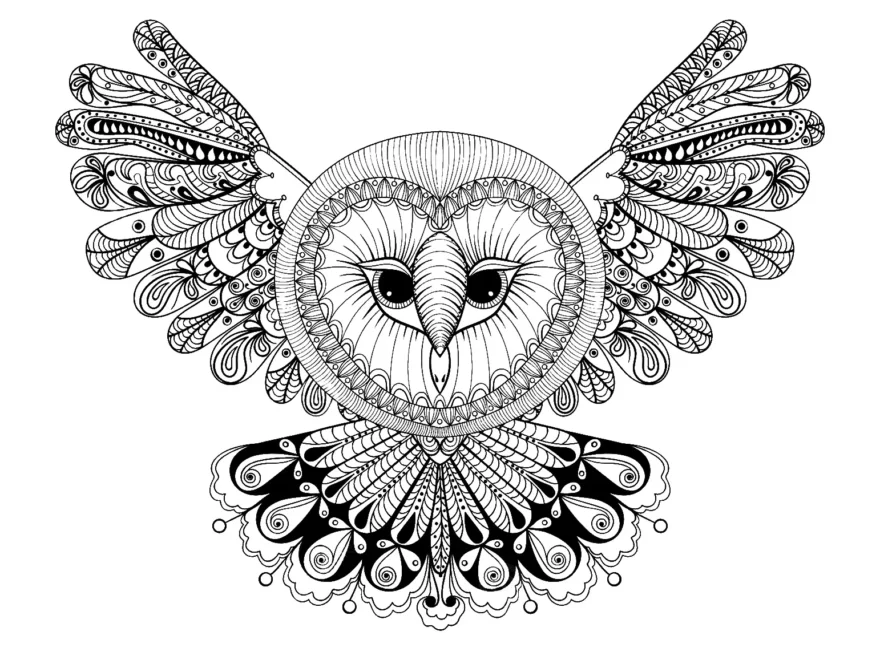Owl With Big Head Owl Coloring Pages For Adults