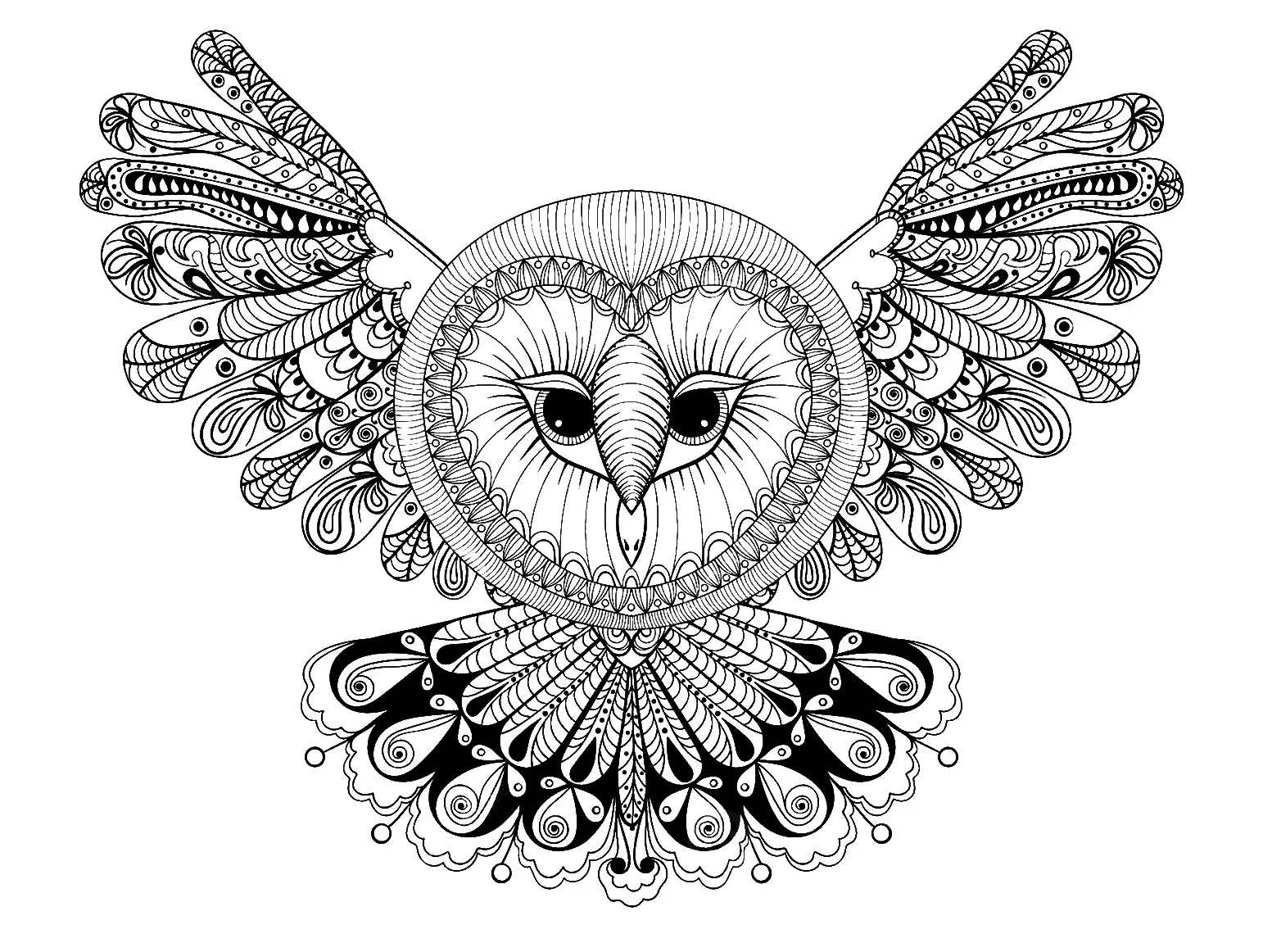 Owl With Big Head Owl Coloring Pages For Adults