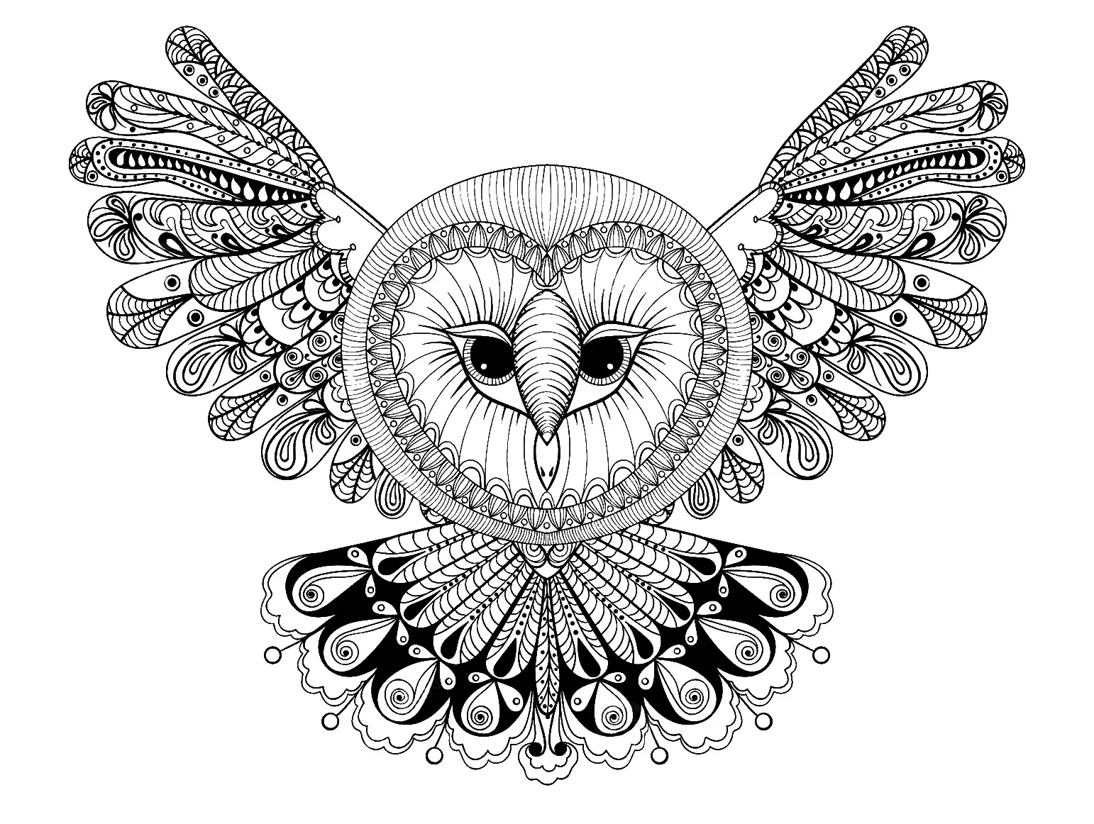 Owl With Big Head Owl Coloring Pages For Adults
