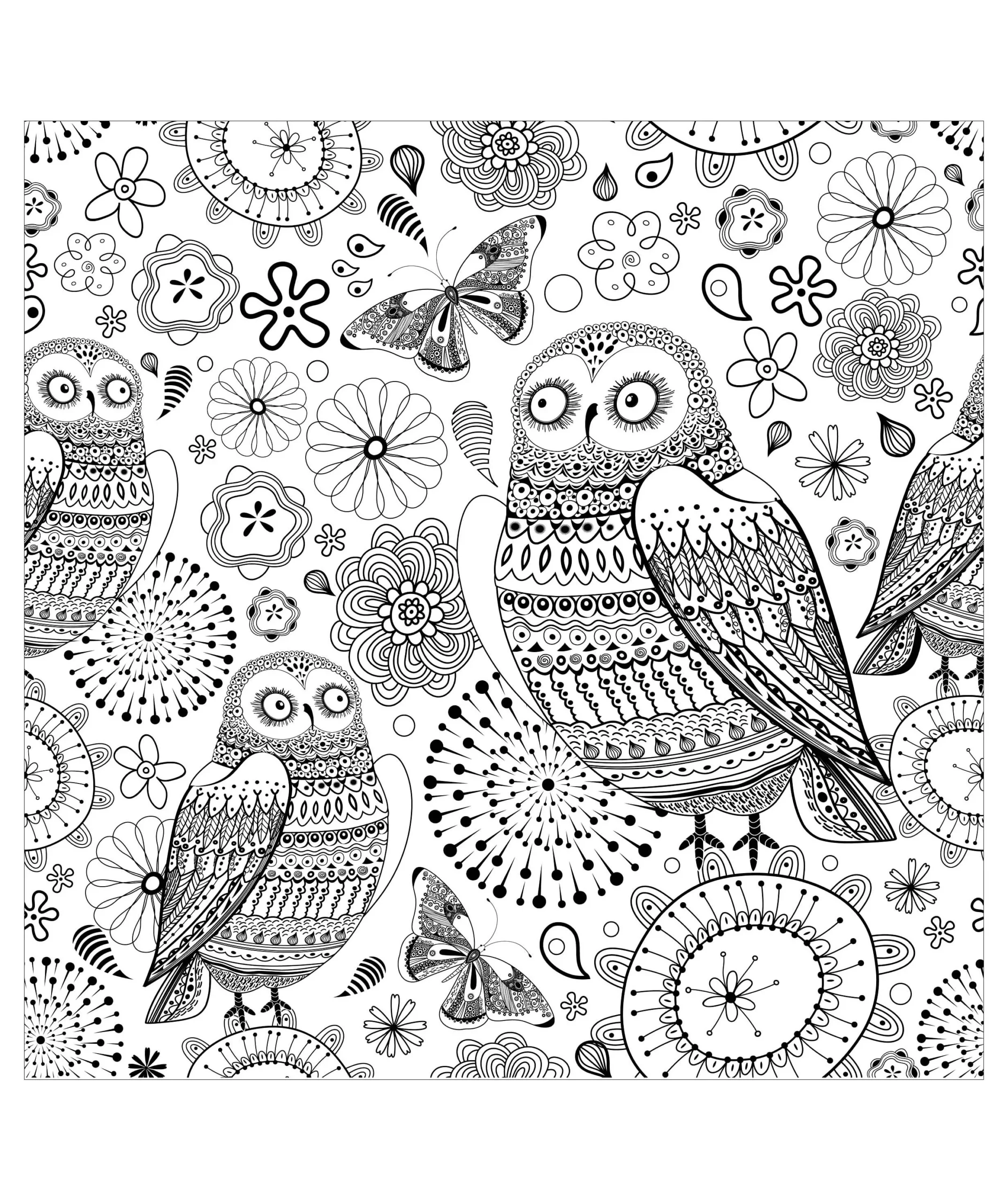 Owls Owl Coloring Pages For Adults Owls Owl Coloring Pages For Adults