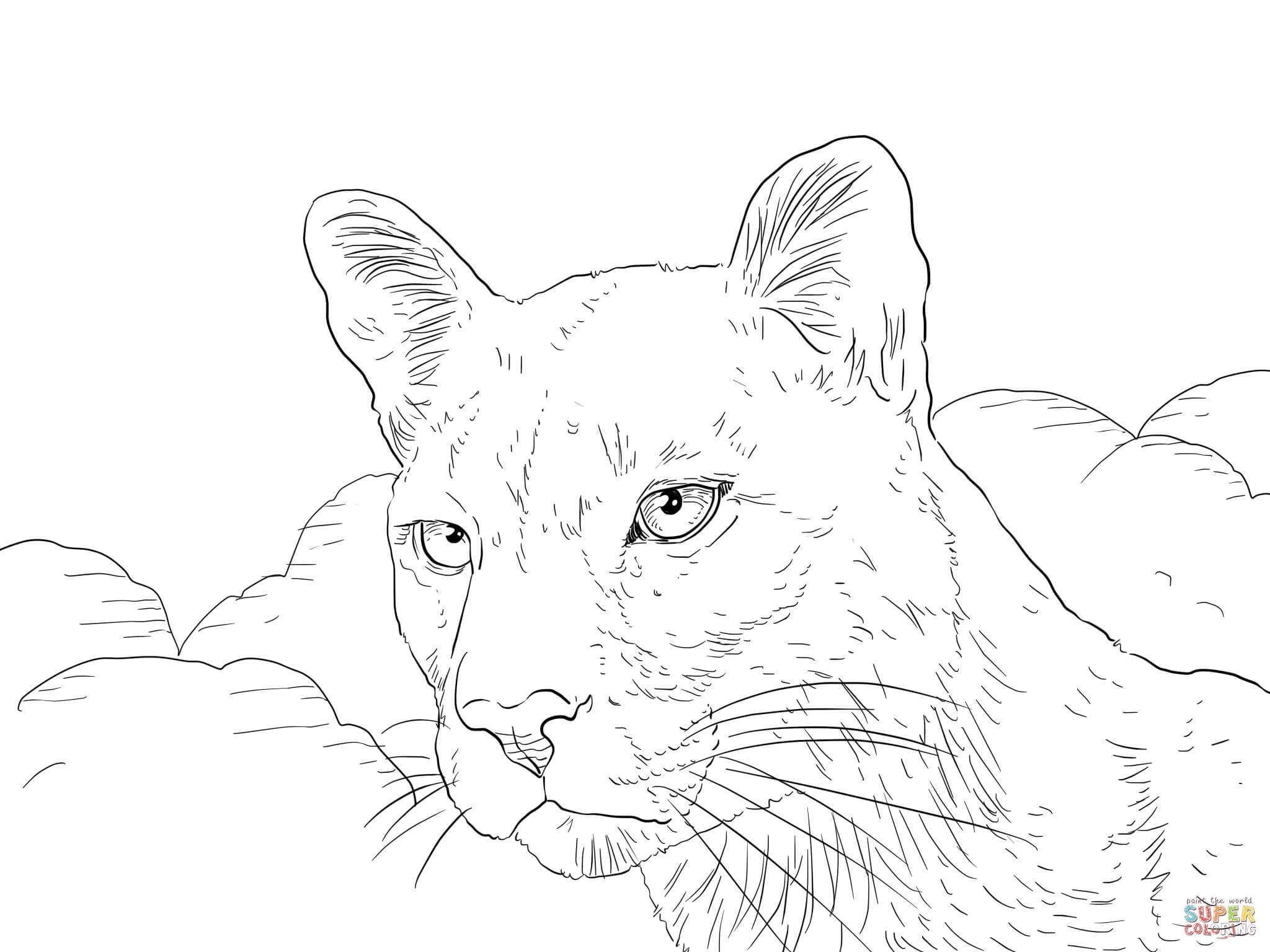  Panther Coloring Pages Books 100 FREE And Printable 