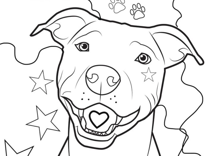Pitbull Coloring Page Dog Coloring Page Etsy