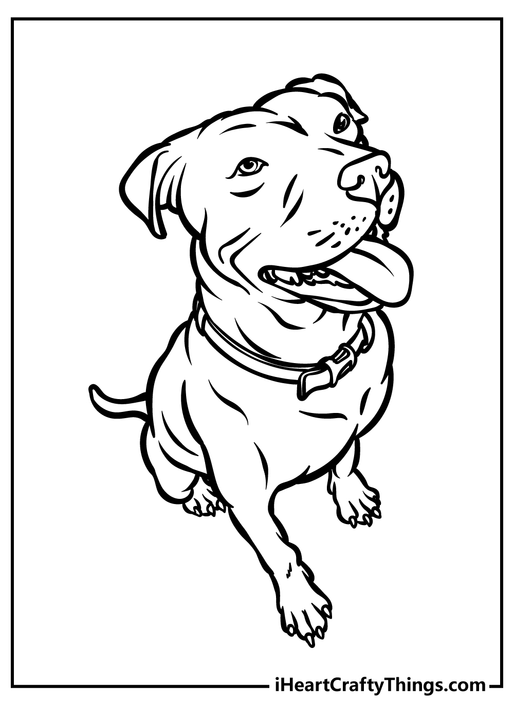Pitbull Coloring Pages 100 Free Printables 