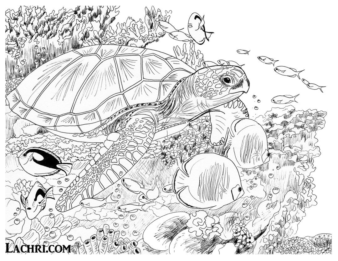 Printable Coloring Page Of Sea Turtles Zumipic