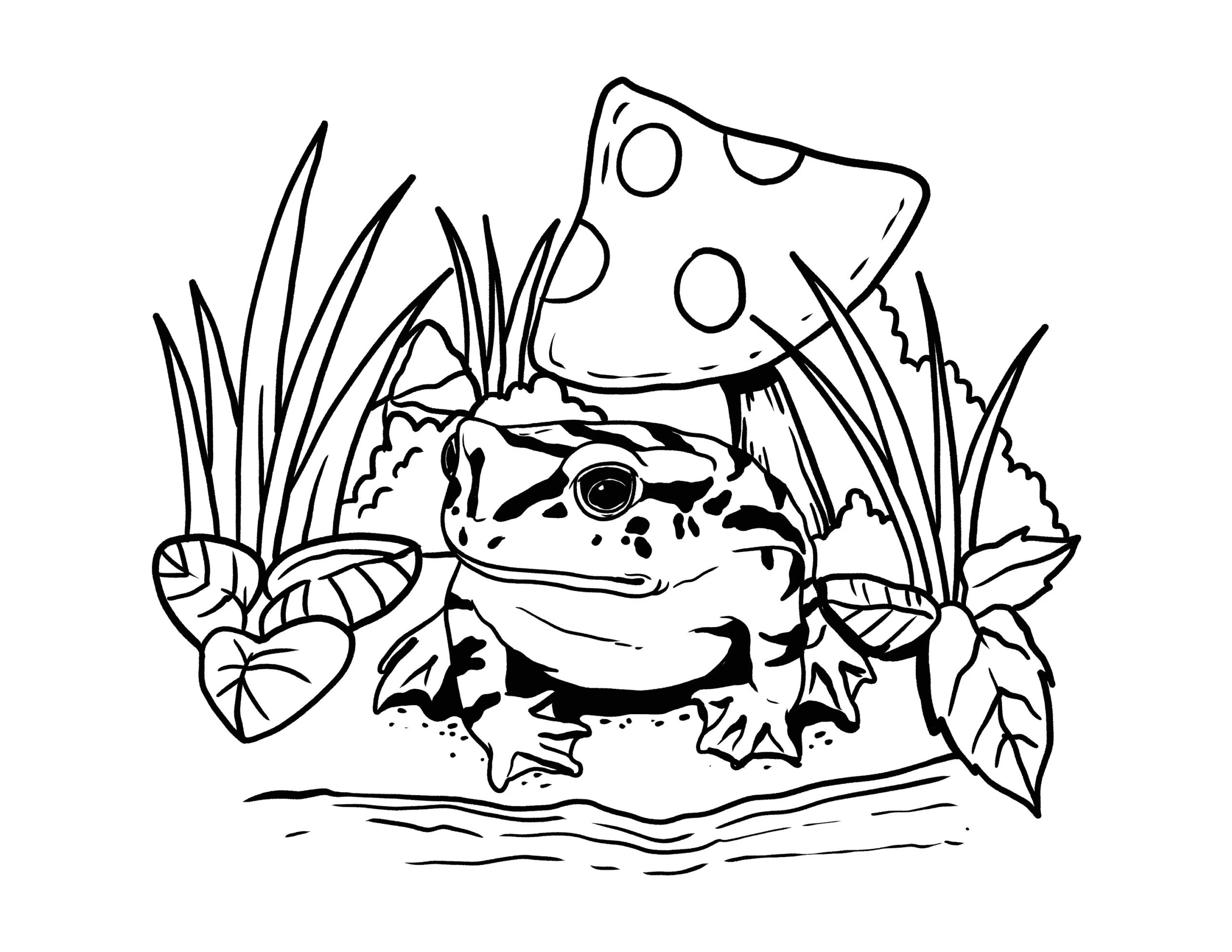 Aesthetic Frog Coloring Pages