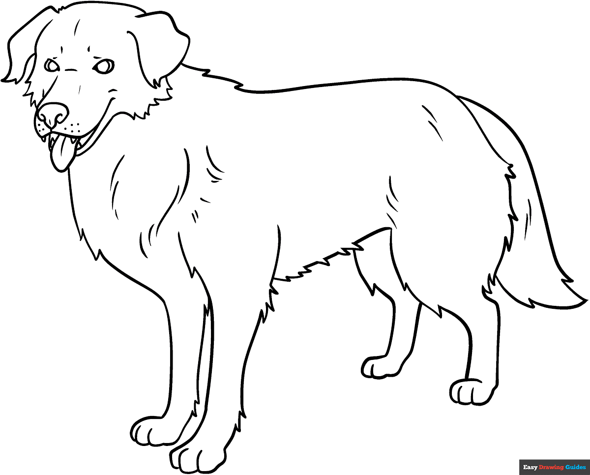 Realistic Dog Coloring Page Easy Drawing Guides