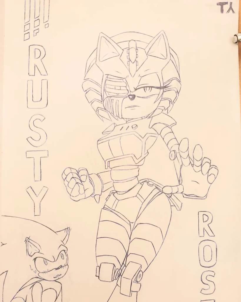  Rusty Rose Sonic The Hedgehog Amino