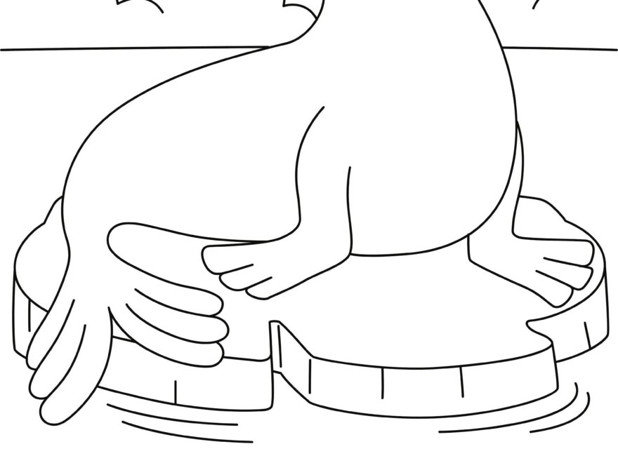 Sea Lion Coloring Page DIGITAL DOWNLOAD Coloring Page For Kids Printable Etsy