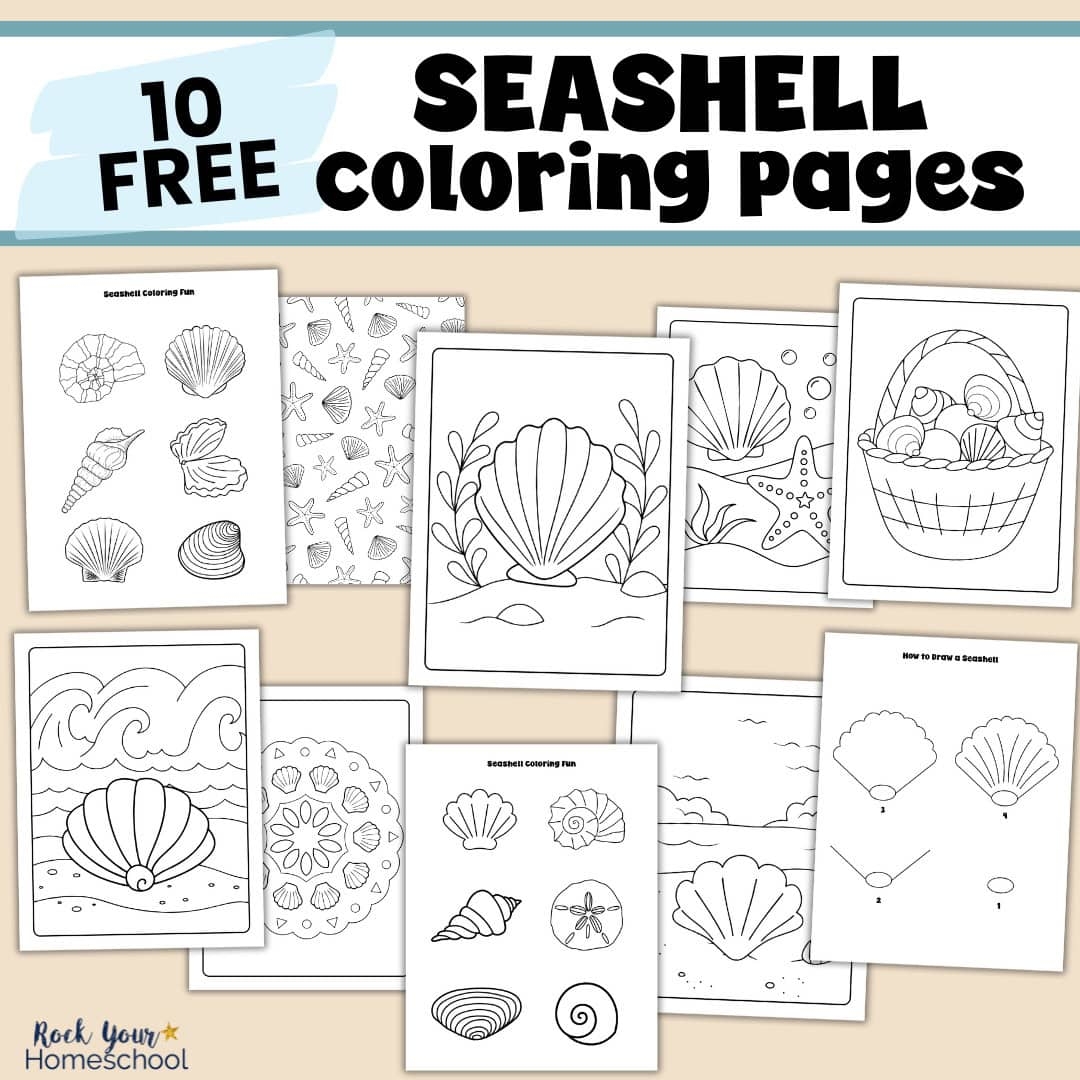 Free Printable Seashell Coloring Pages Free Printable Seashell Coloring Pages