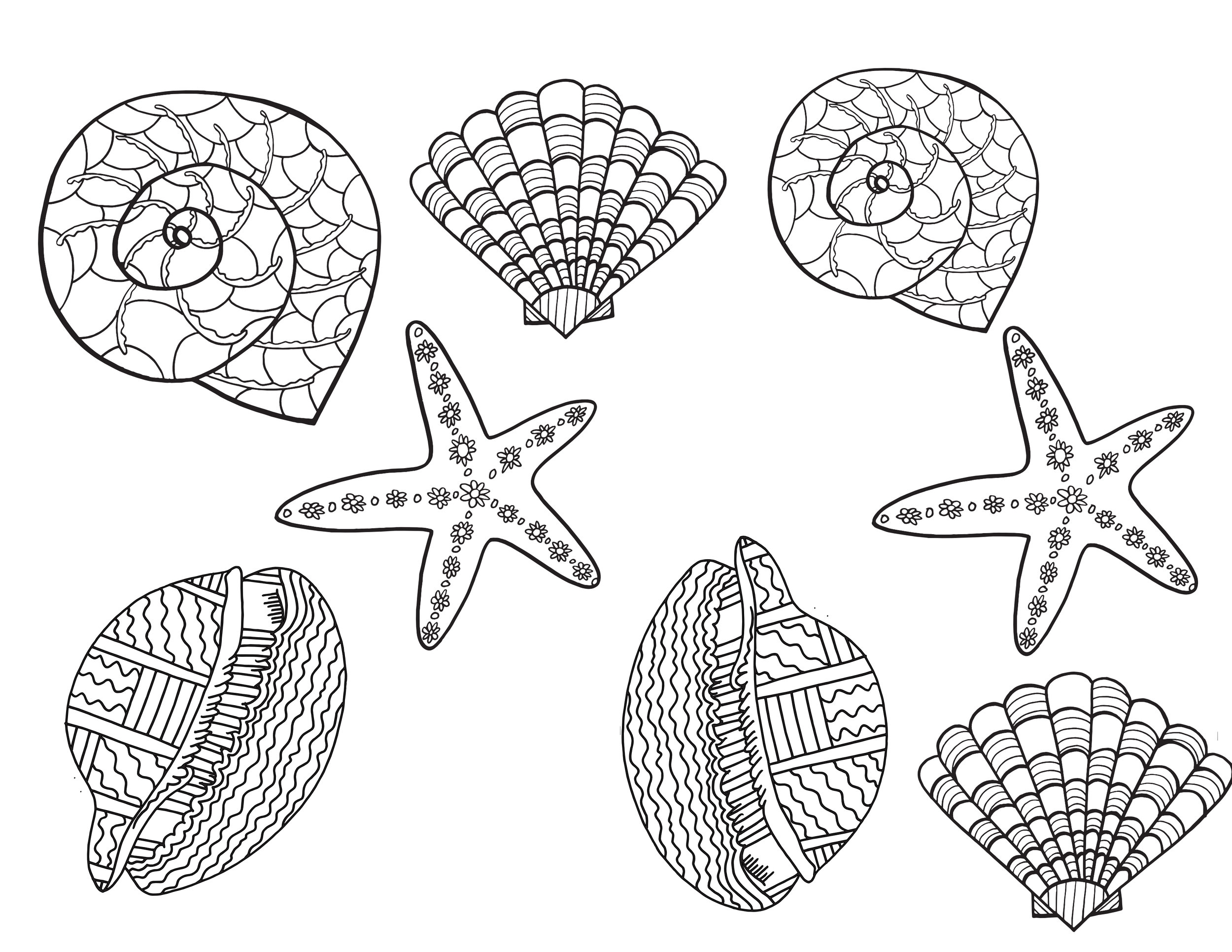 SHELLS Free Printable Coloring Page Stevie Doodles SHELLS Free Printable Coloring Page Stevie Doodles