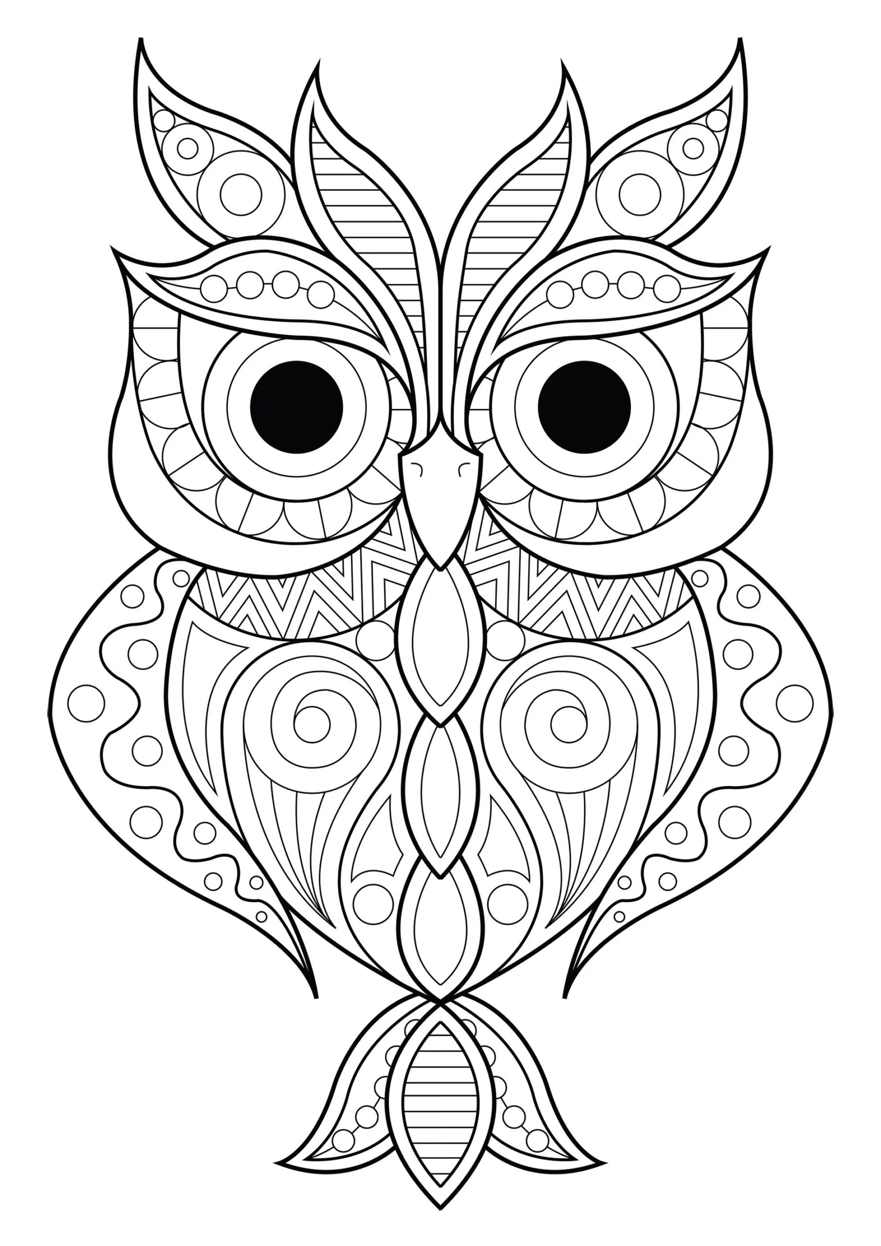 Simple Patterned Owl 2 Owl Coloring Pages For Adults