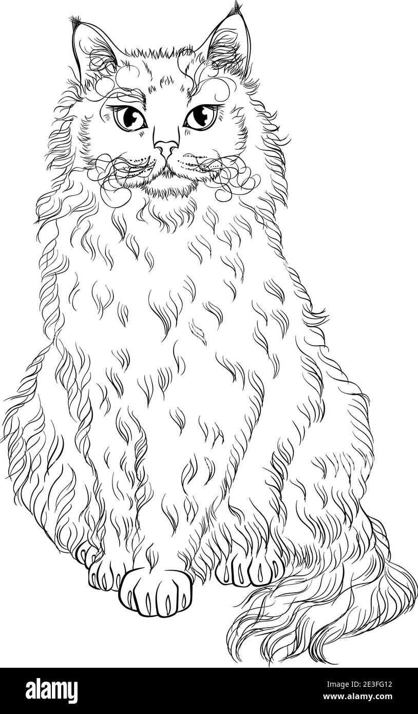 Sitting Cat Breed La Perm Looking Forward Line Art Vector Illustration Suitable For Coloring Book Page Print In Hand Draw Style Isolated On White Background Fluffy Cat In Simple Sketch Style Stock