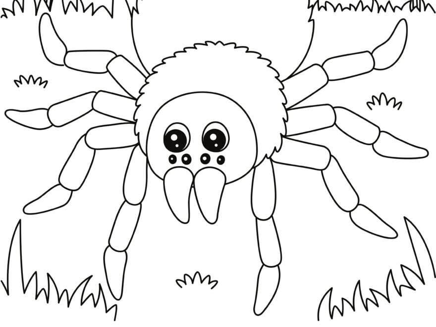 Spider Coloring Page DIGITAL DOWNLOAD Printable Coloring Page Etsy