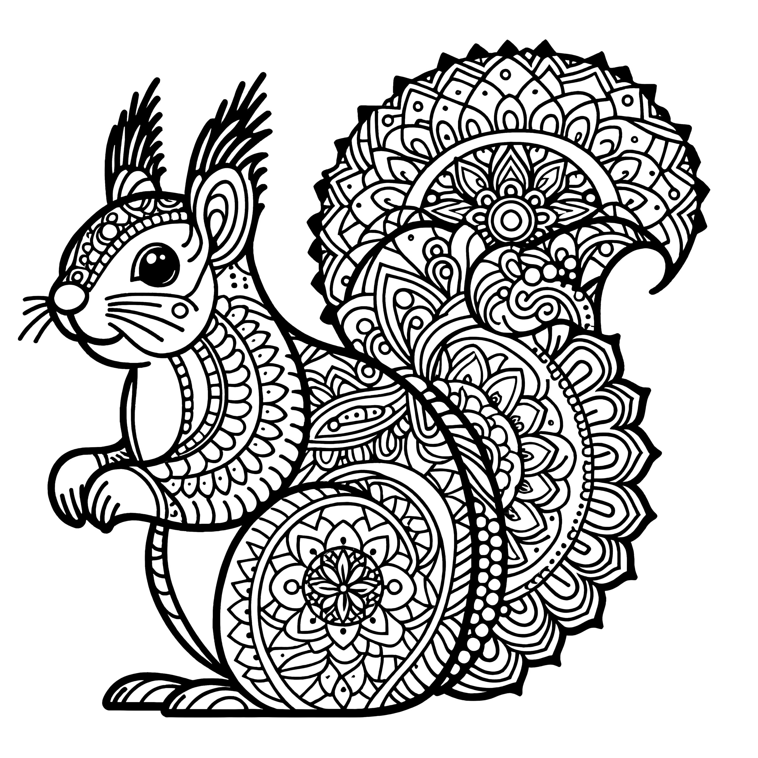 Squirrel Mandala Coloring Page Print For Free
