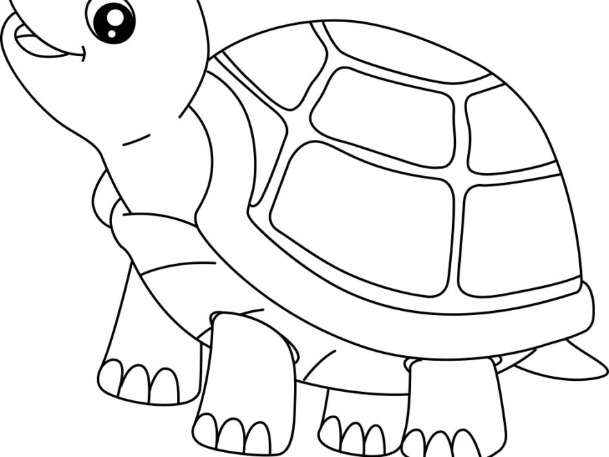 Turtle Coloring Page For Isolated Kids Royalty Free Vector