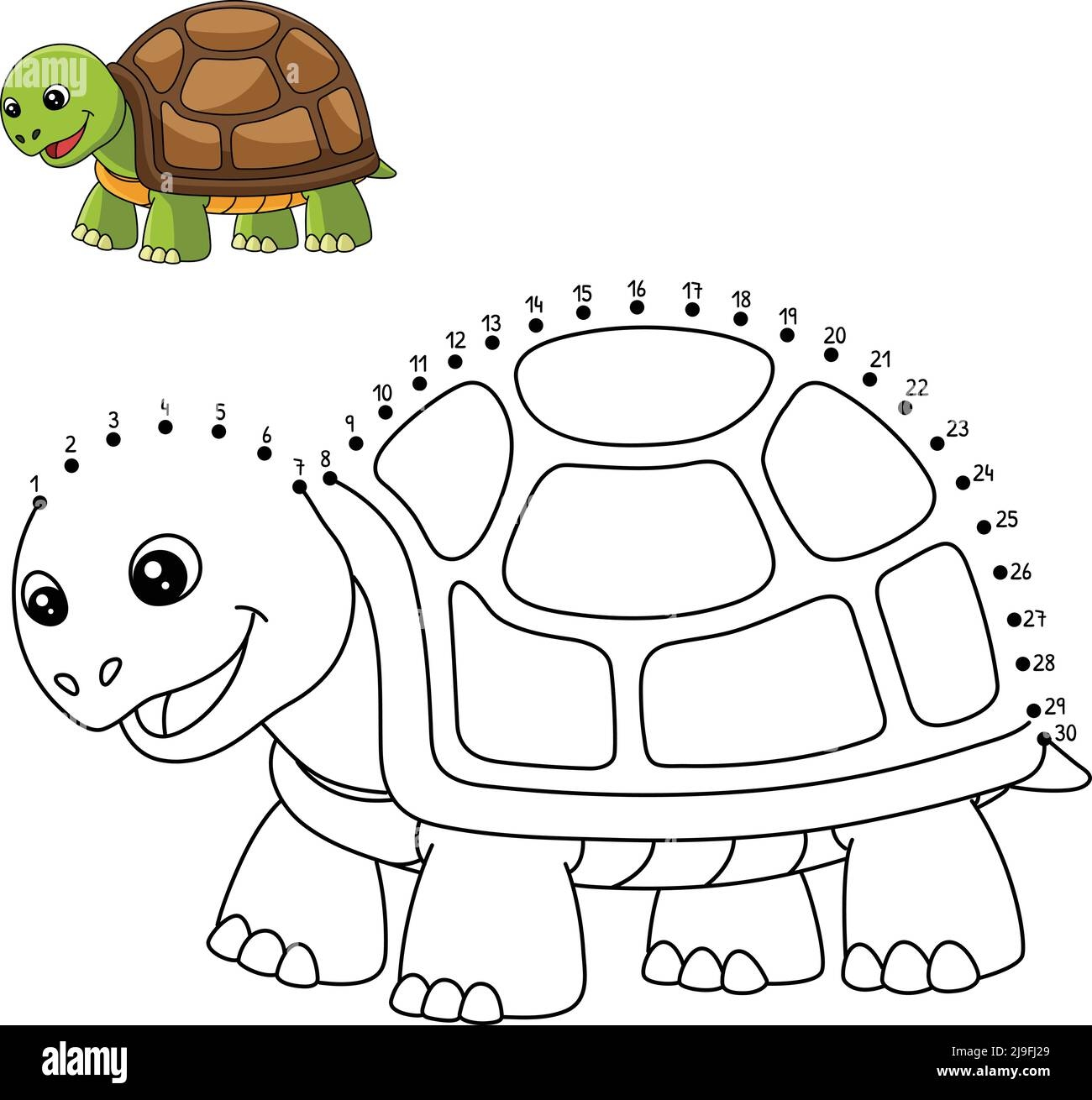 Turtle Coloring Page Stock Vector Images Alamy