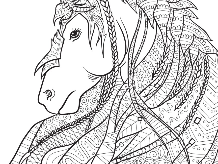 Unicorn Mandala Coloring Page For Teens And Adults Diy magazine