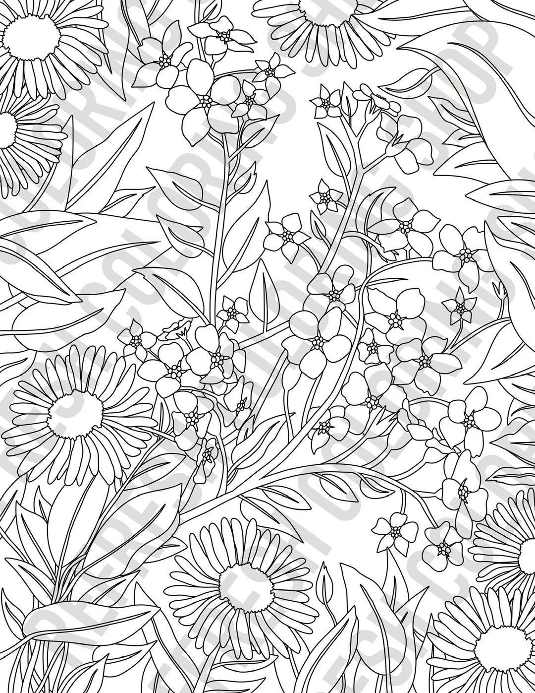 Wild Flower Floral Coloring Page PDF Instant Download Etsy