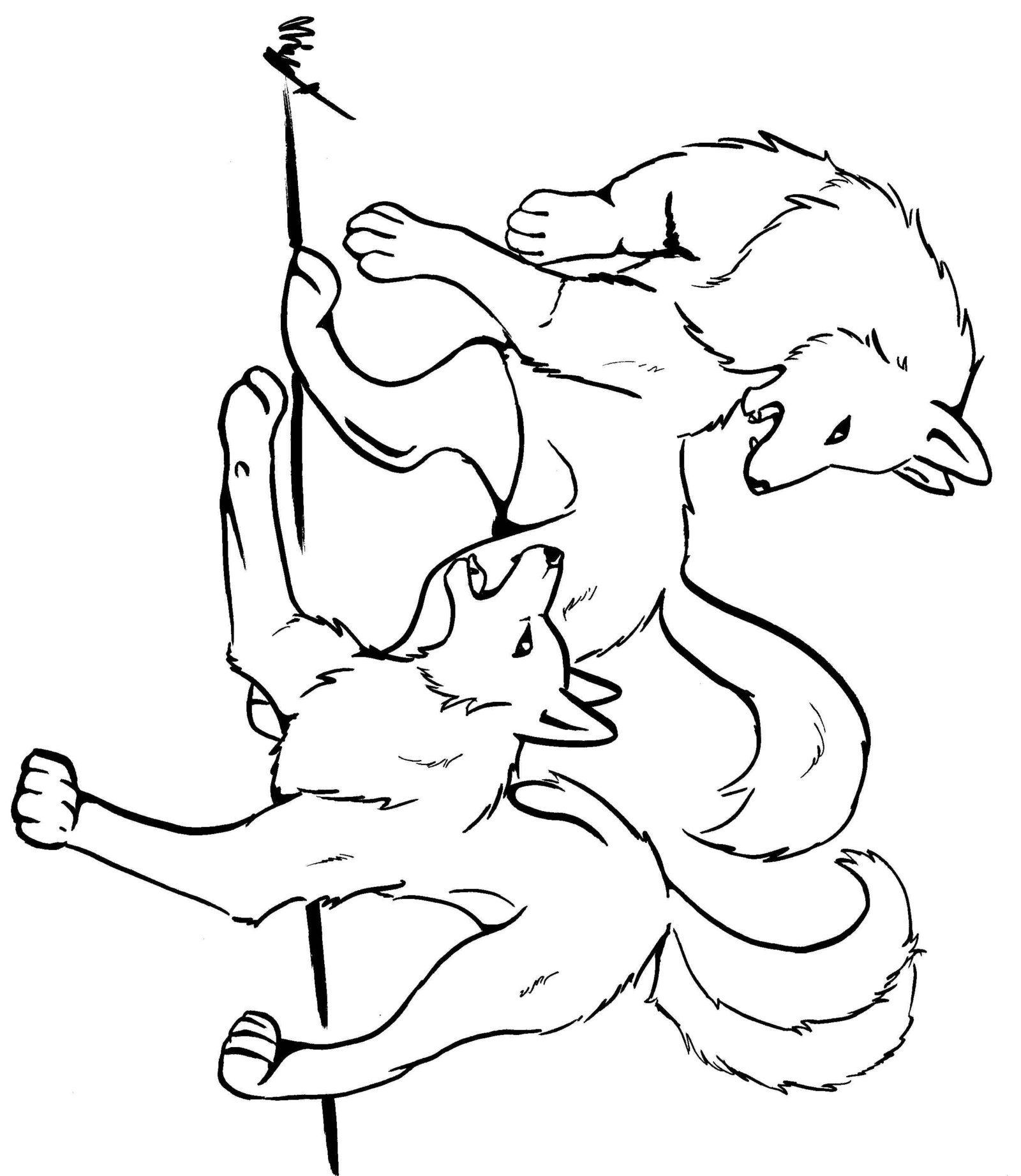 Wolf Fighting Coloring Pages 498703