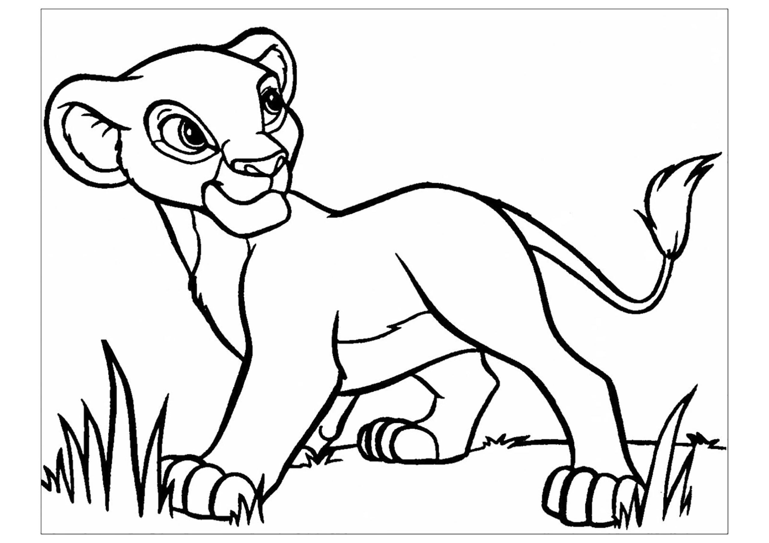 Young Simba The Lion King Coloring Pages
